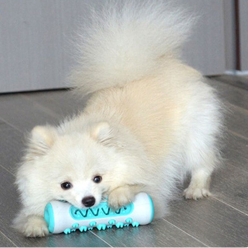 Dog Toy Teething Stick Chewable Teeth Cleaning Bones Dog Toothbrush TPR Safe Puppy Dental Care Cleaning Toys Supplies