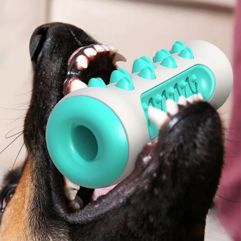 Dog Toy Teething Stick Chewable Teeth Cleaning Bones Dog Toothbrush TPR Safe Puppy Dental Care Cleaning Toys Supplies - Pupeazy