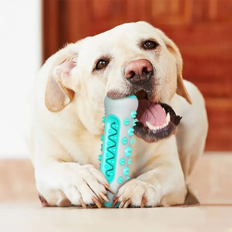 Dog Toy Teething Stick Chewable Teeth Cleaning Bones Dog Toothbrush TPR Safe Puppy Dental Care Cleaning Toys Supplies - Pupeazy