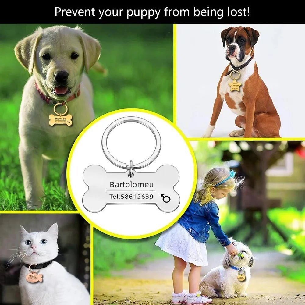 Personalized Engraved Cat Dog Pet ID Tag Dogs Anti-lost Collar Charm Engraving Pet Name Collar for Puppy Cats Collar Accessories - Pupeazy